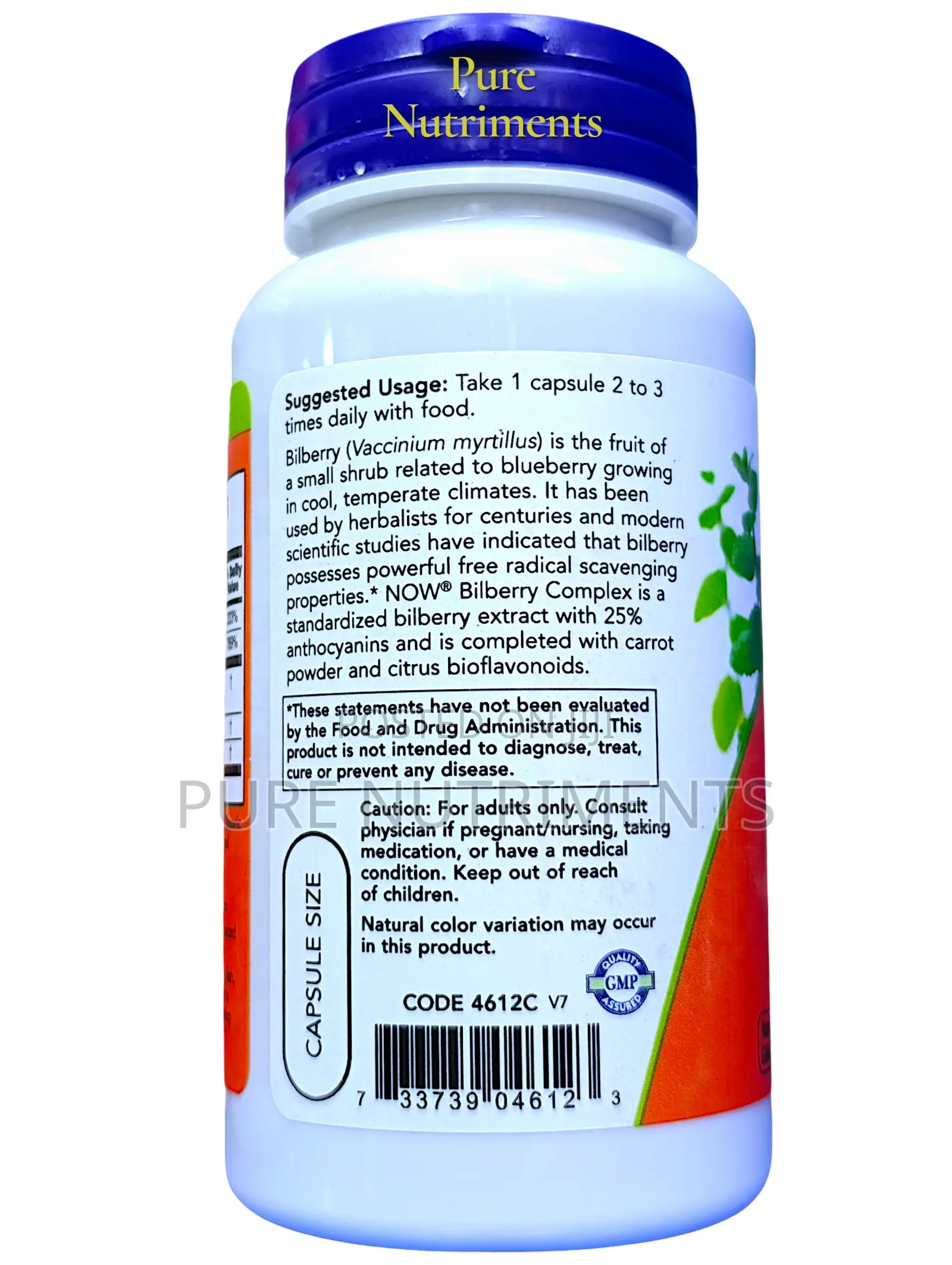 Now Bilberry Complex 80mg Antioxidant Eye Support – 100 Veg Capsules