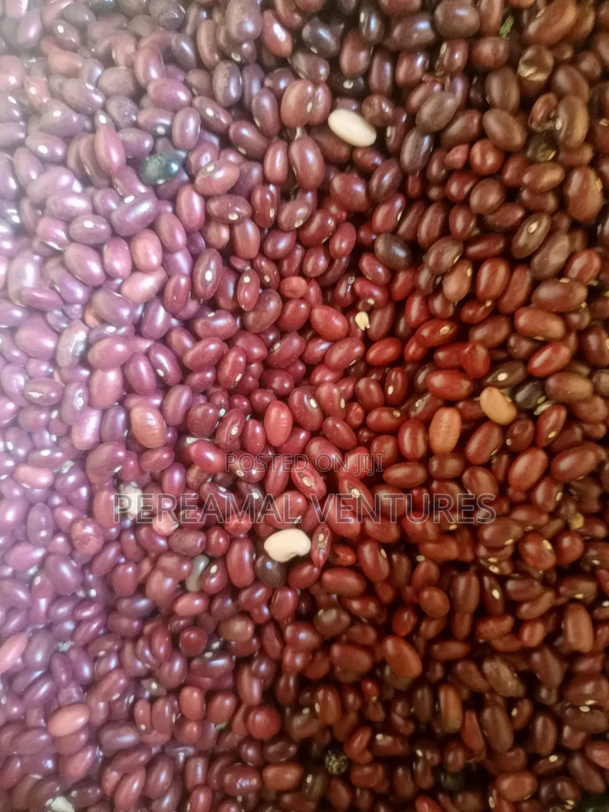 Kidney Beans
