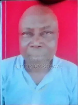 Mr Sunny Wilfred Nwangwu