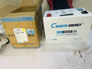 100 12v C Worth Lithium Battery
