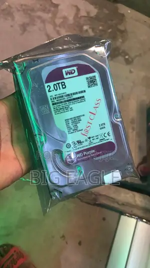 Western Digital Surveillance Hard Disk Drive 2 Terabyte - Purple