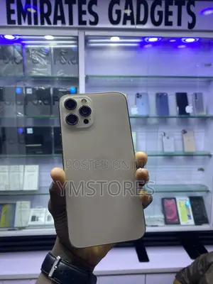 Apple iPhone 12 Pro Max 128 GB Gold