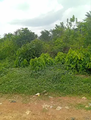 A Plot, Close to Main Road, Akinyele