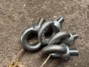 20 Mm Eyebolt