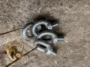20 Mm Eyebolt