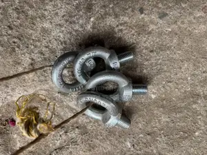 20 Mm Eyebolt