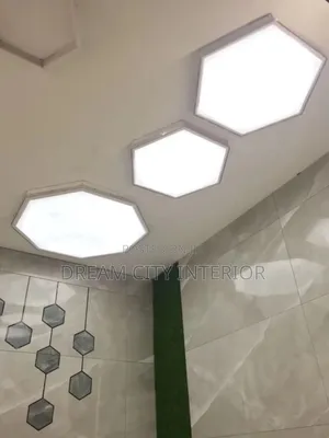 Dream Interior Stretch Ceiling Designs