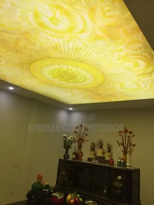 Stretch Ceiling Designs