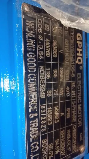 75kw 980rpm Electric Motor