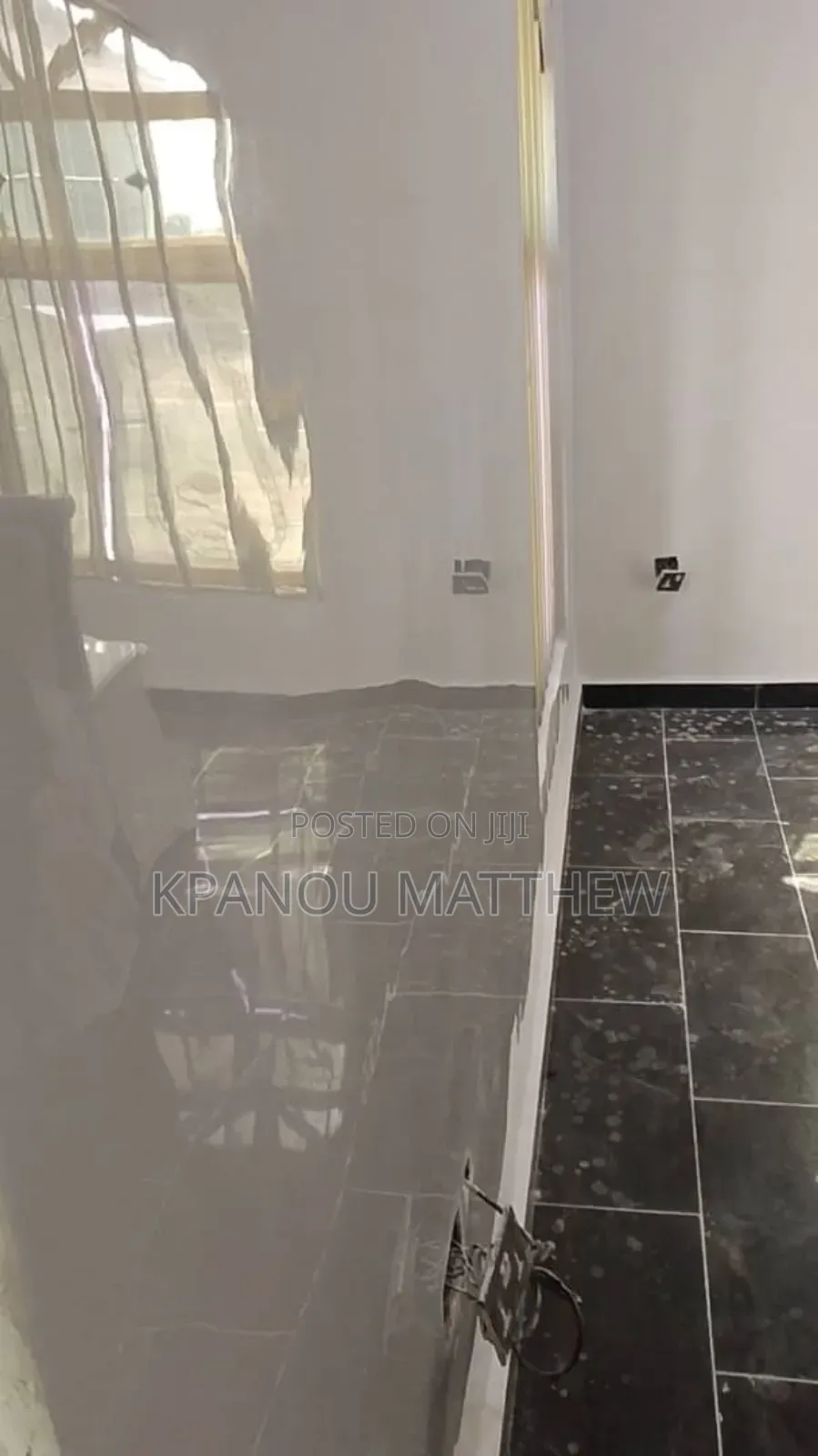 A Professional Painter