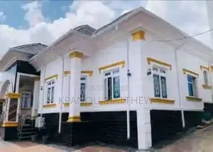 A Professional Painter