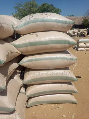 Soya Beans for Sale