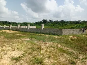 All Inclusive No Hidden Charges With Instant Allocation, Elerangbe