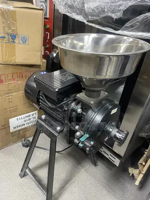 Wet and Dry Grinder