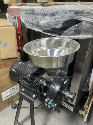 Wet and Dry Grinder