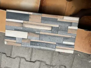 India  Wall Tiles Stone