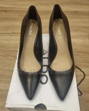 Aldo Pointed Toe Heel Pump