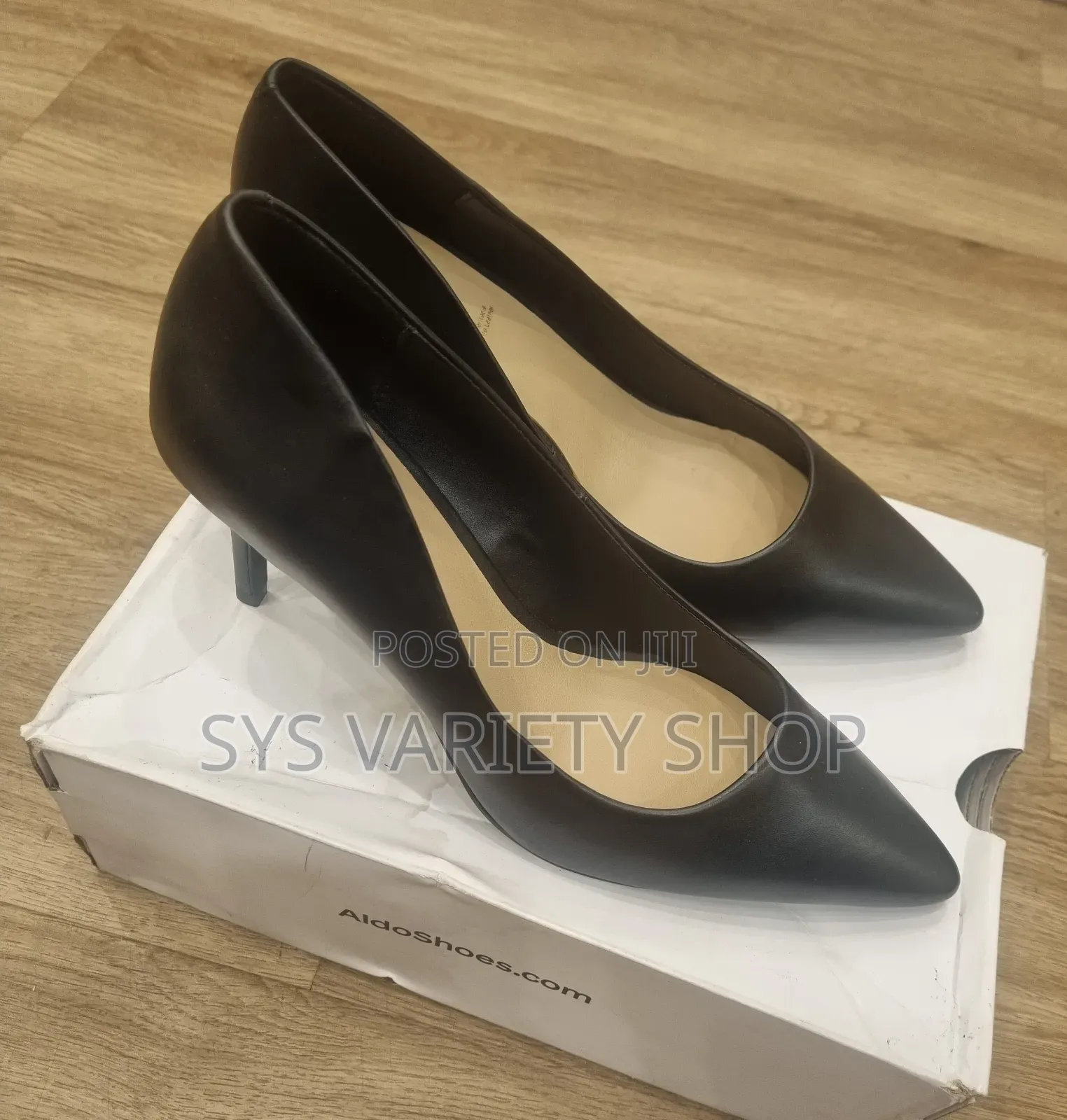 Aldo Pointed Toe Heel Pump