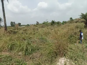 One Acre of Land