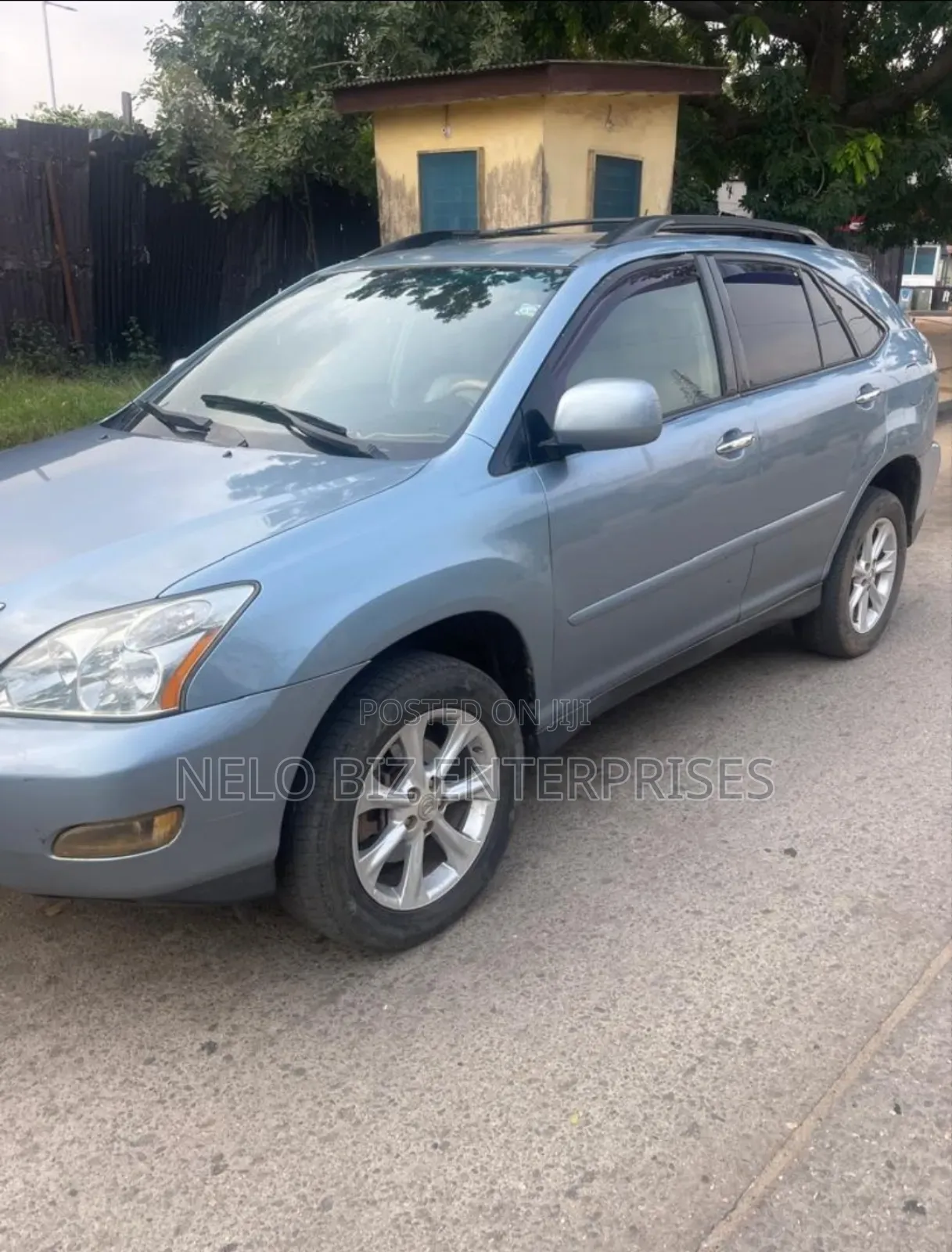 Lexus RX 2008 Blue