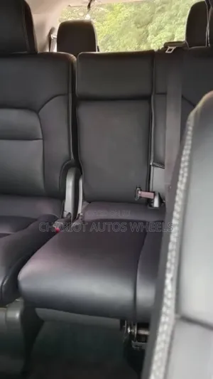 Prado for Hire