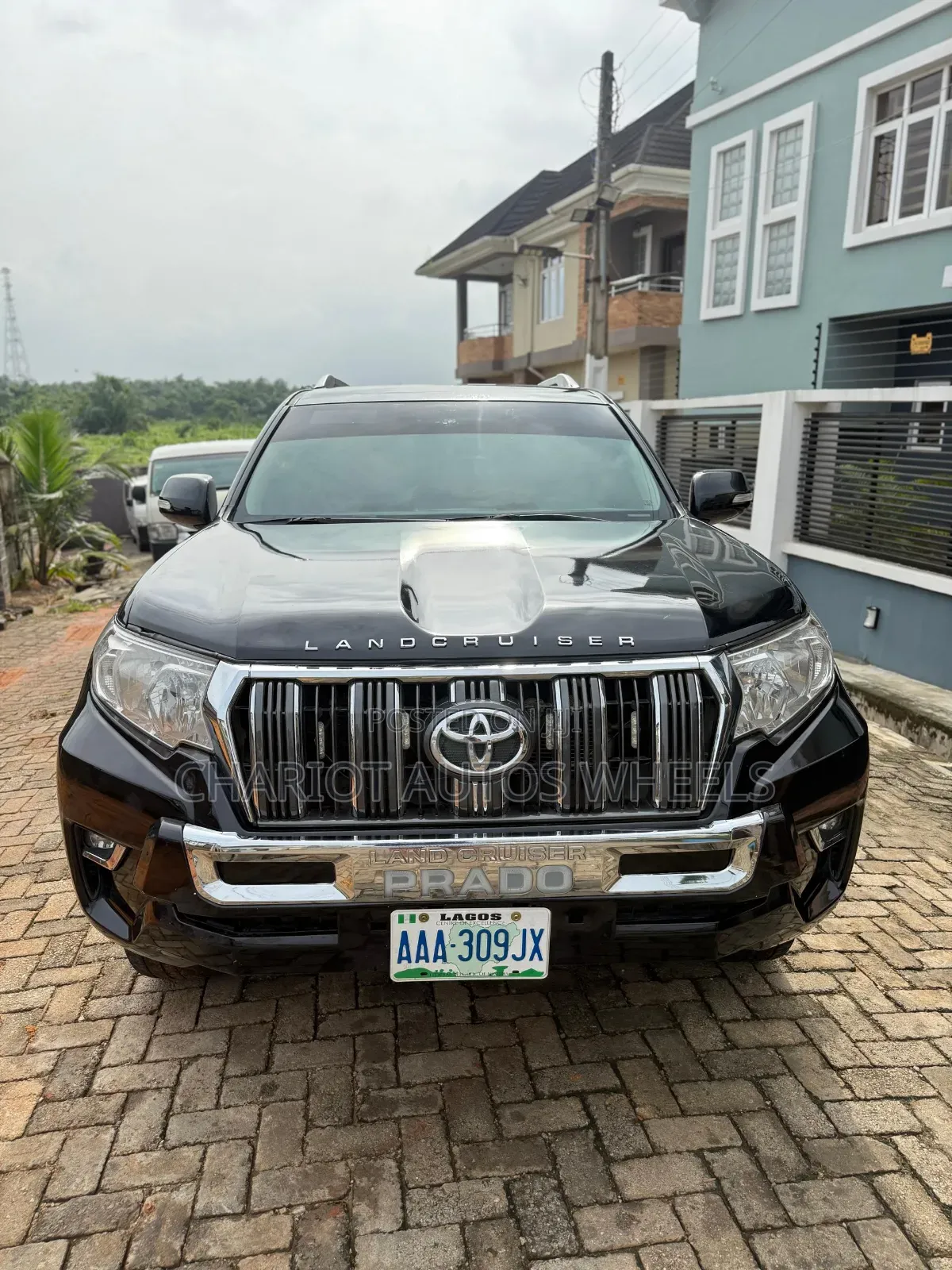 Prado for Hire