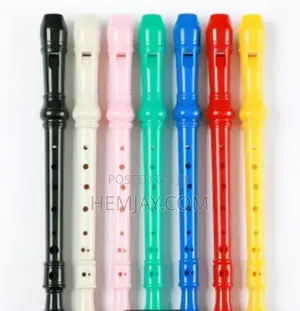Standard Size Musical Recorder/Flutes (6pcs)