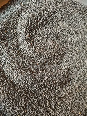 Black Sesame Seeds