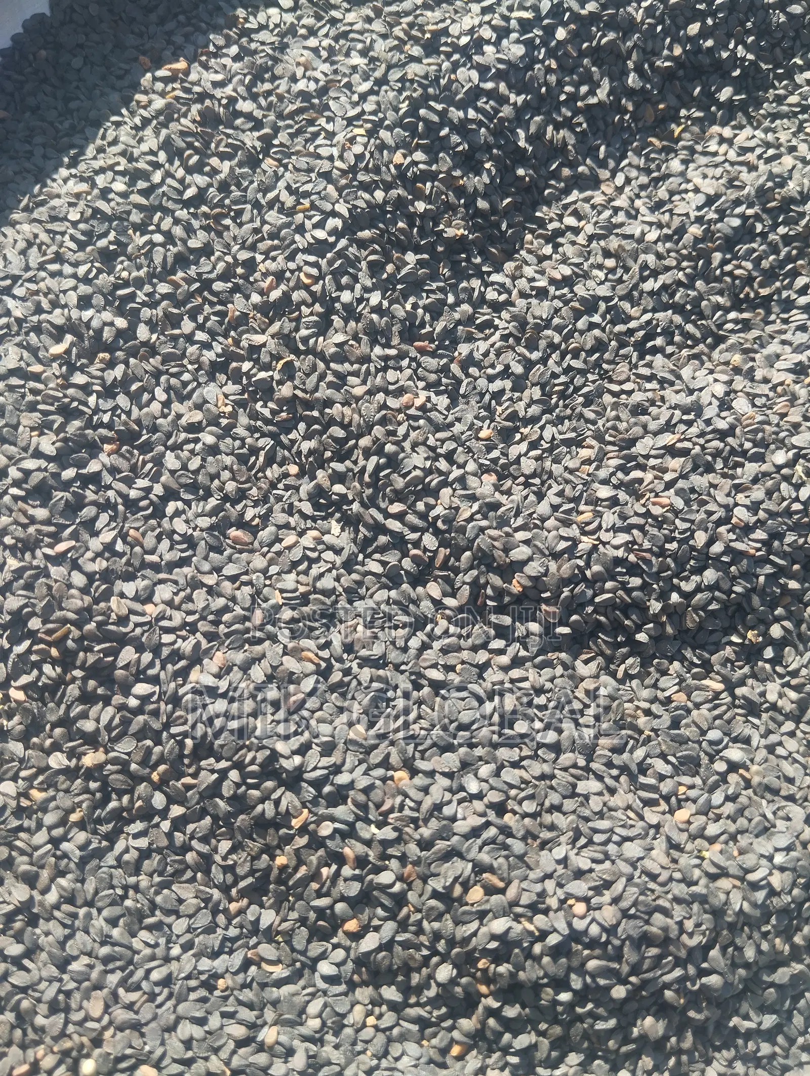 Black Sesame Seeds