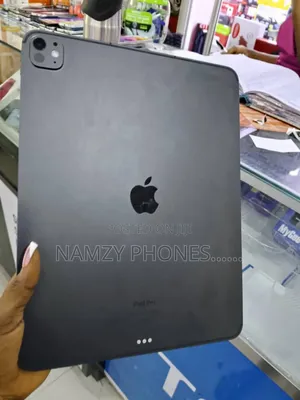 Apple iPad Pro 256 GB Gray