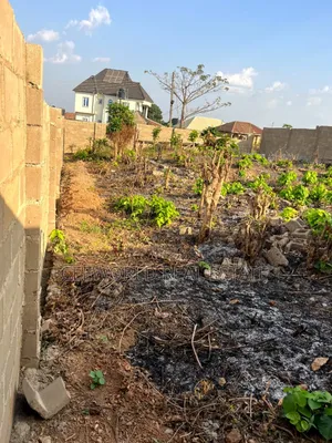 A Plot of Land for Sale at Aliri Opposite Wisdom Estate Olorunda
