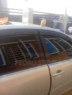 Professional Car Window Tinting