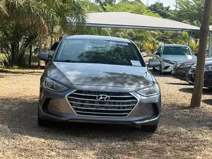 Hyundai Elantra 2017 Gray