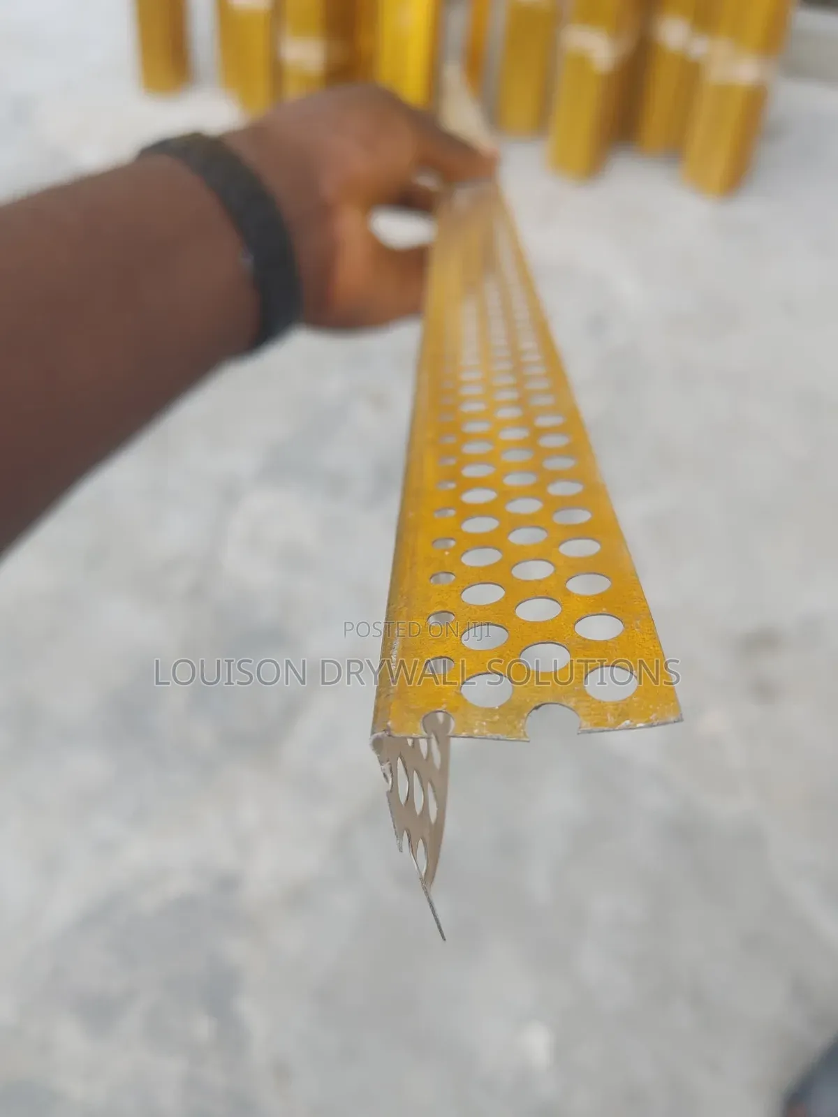 Golden Conerbead
