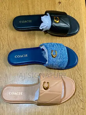 Coach Slides