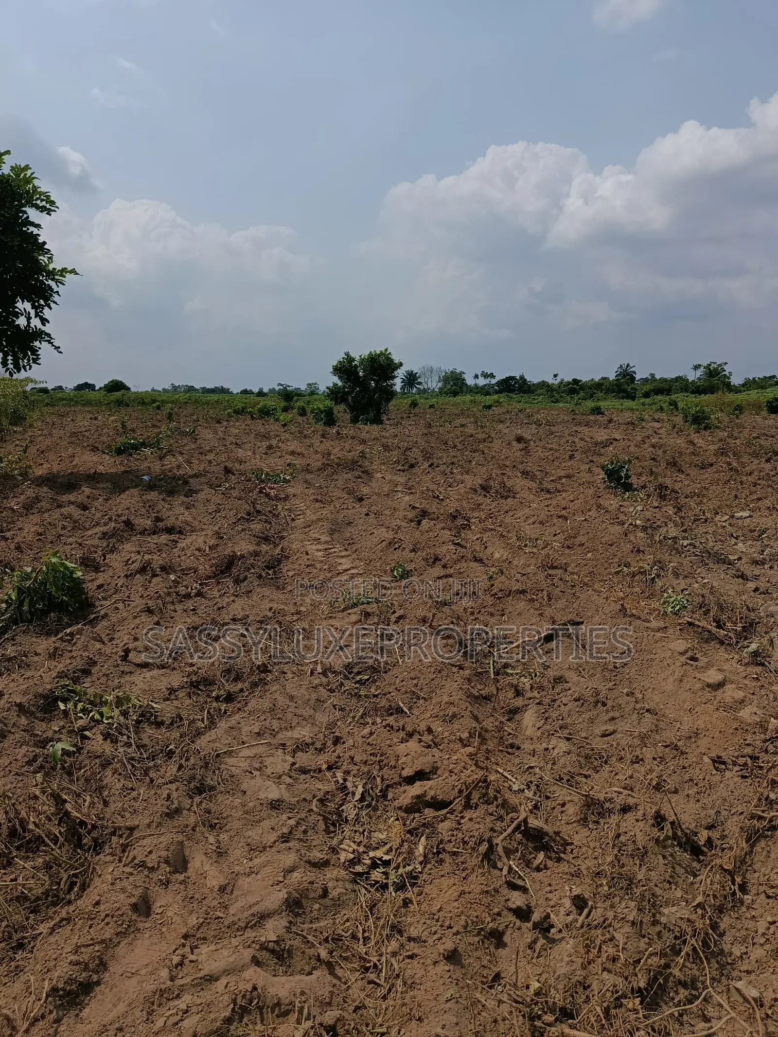 Land for Sale