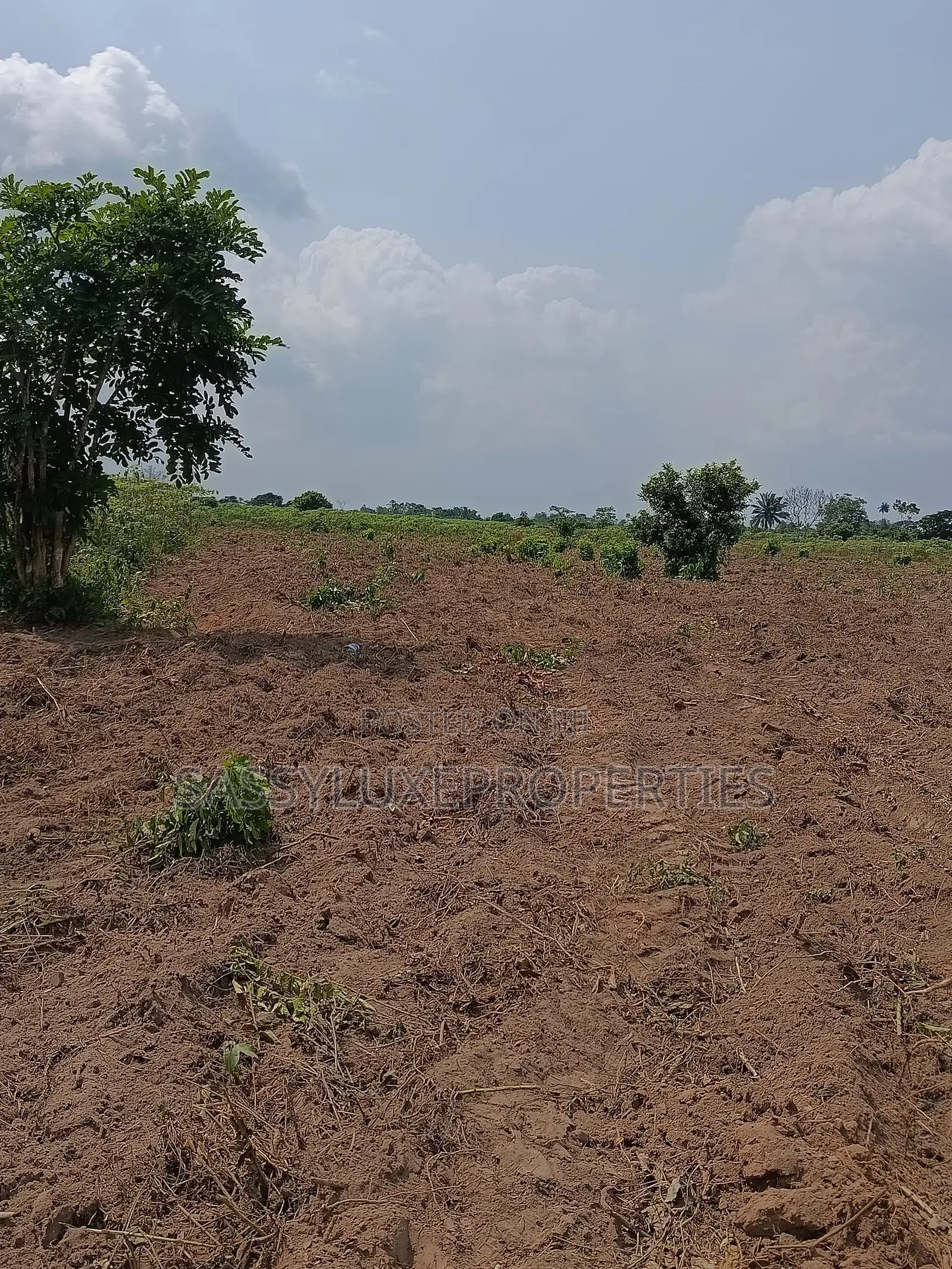 Land for Sale