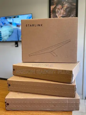 Starlink Mini