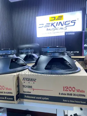 Titanic Tc1580 Naked Speaker Magnet Cone 15" - Titanic Speaker Magnet