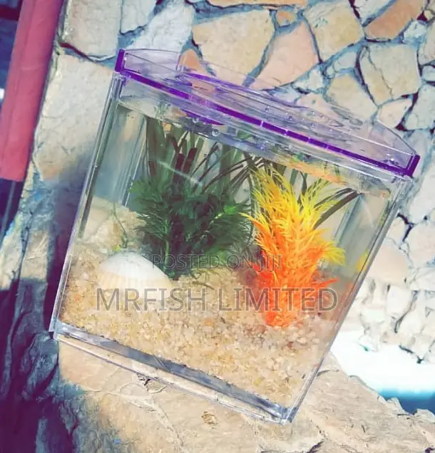 Mini Square Aquarium
