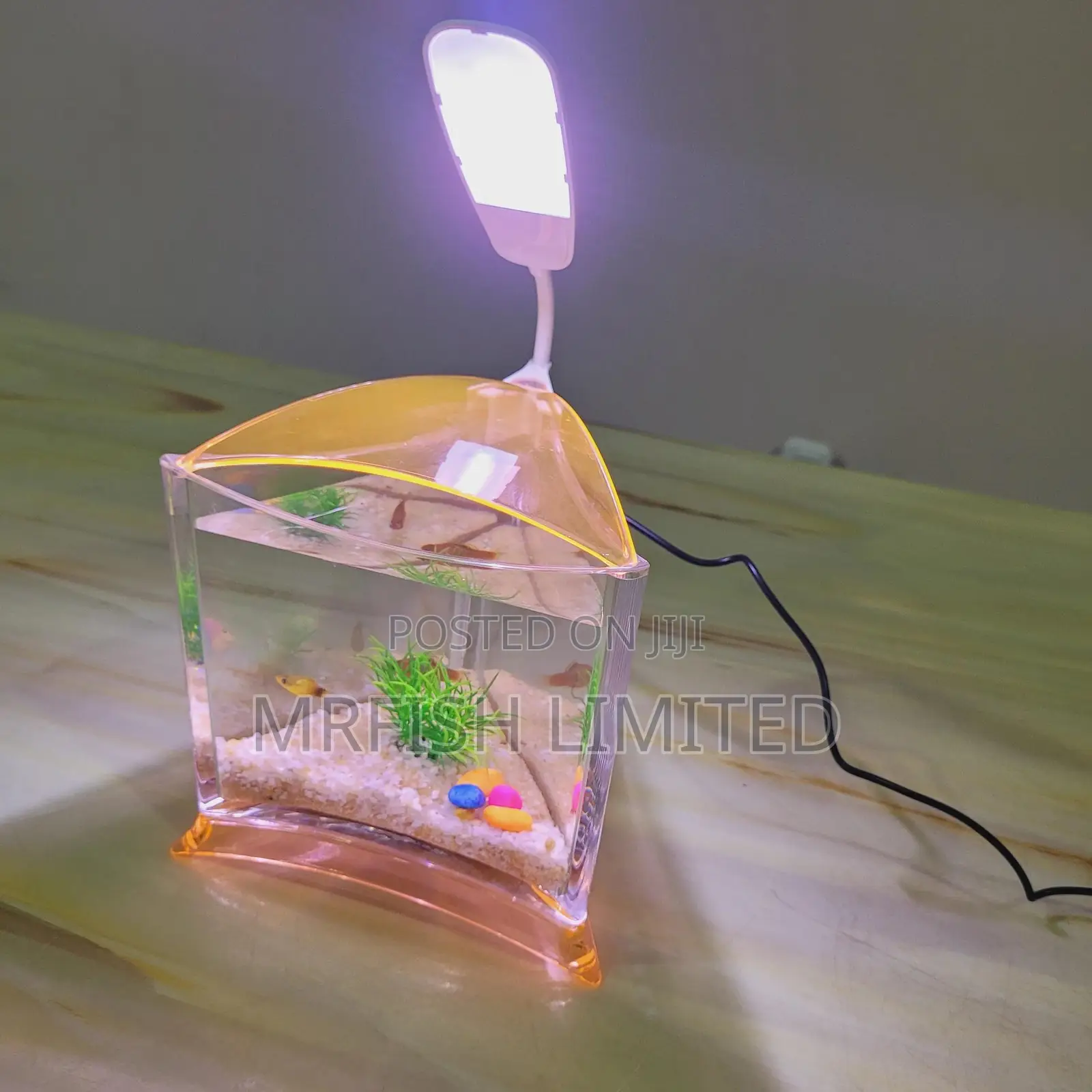 Mini Triangle Table Top Aquarium