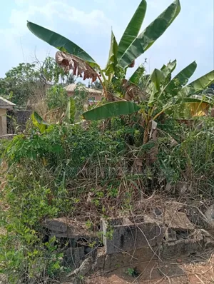 Abandoned Factory on 4 Plots of Land at Along Lagos-Ibadan Expressway