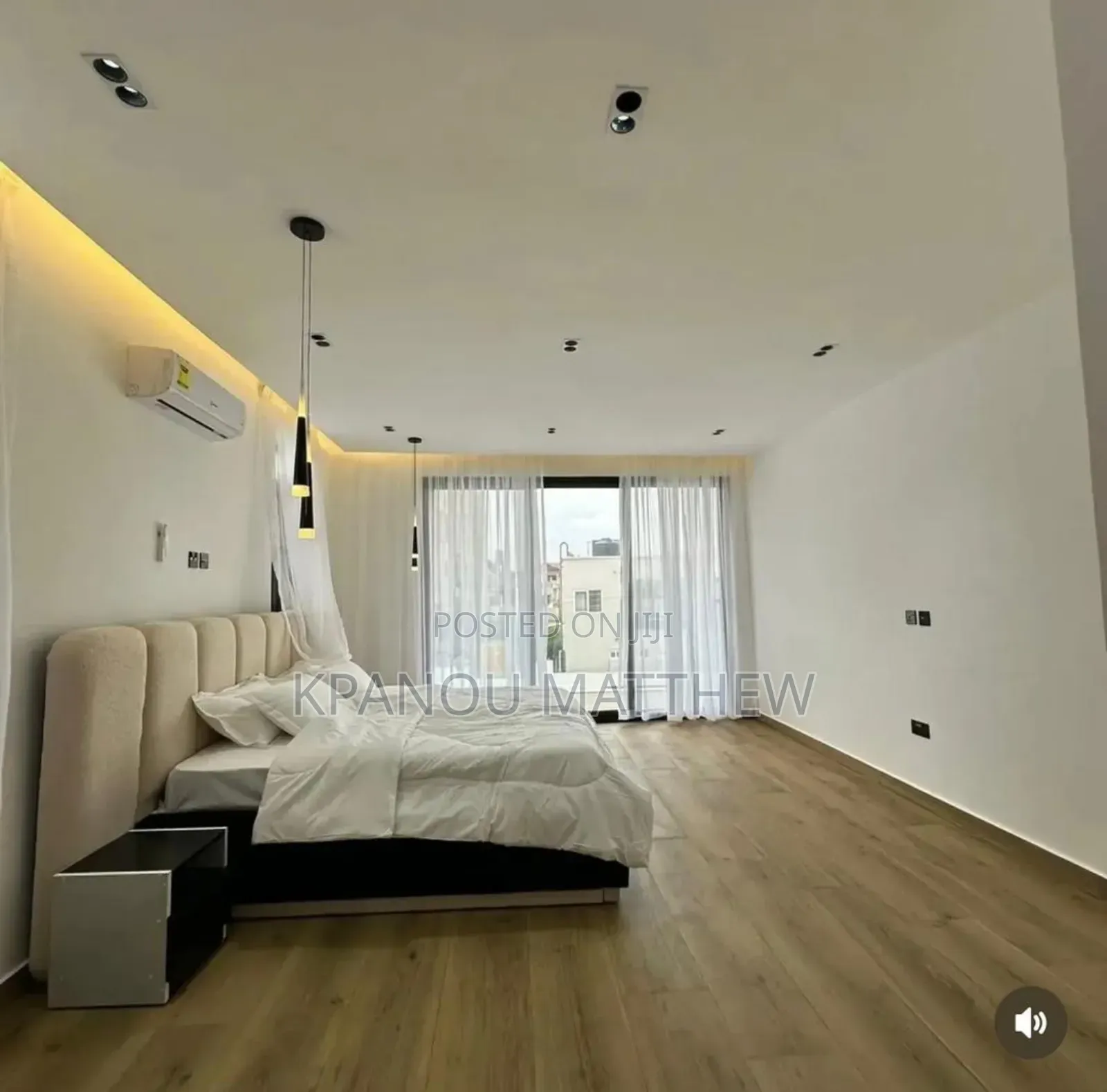 A Professional Painter.