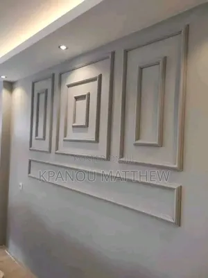 A Professional Painter.
