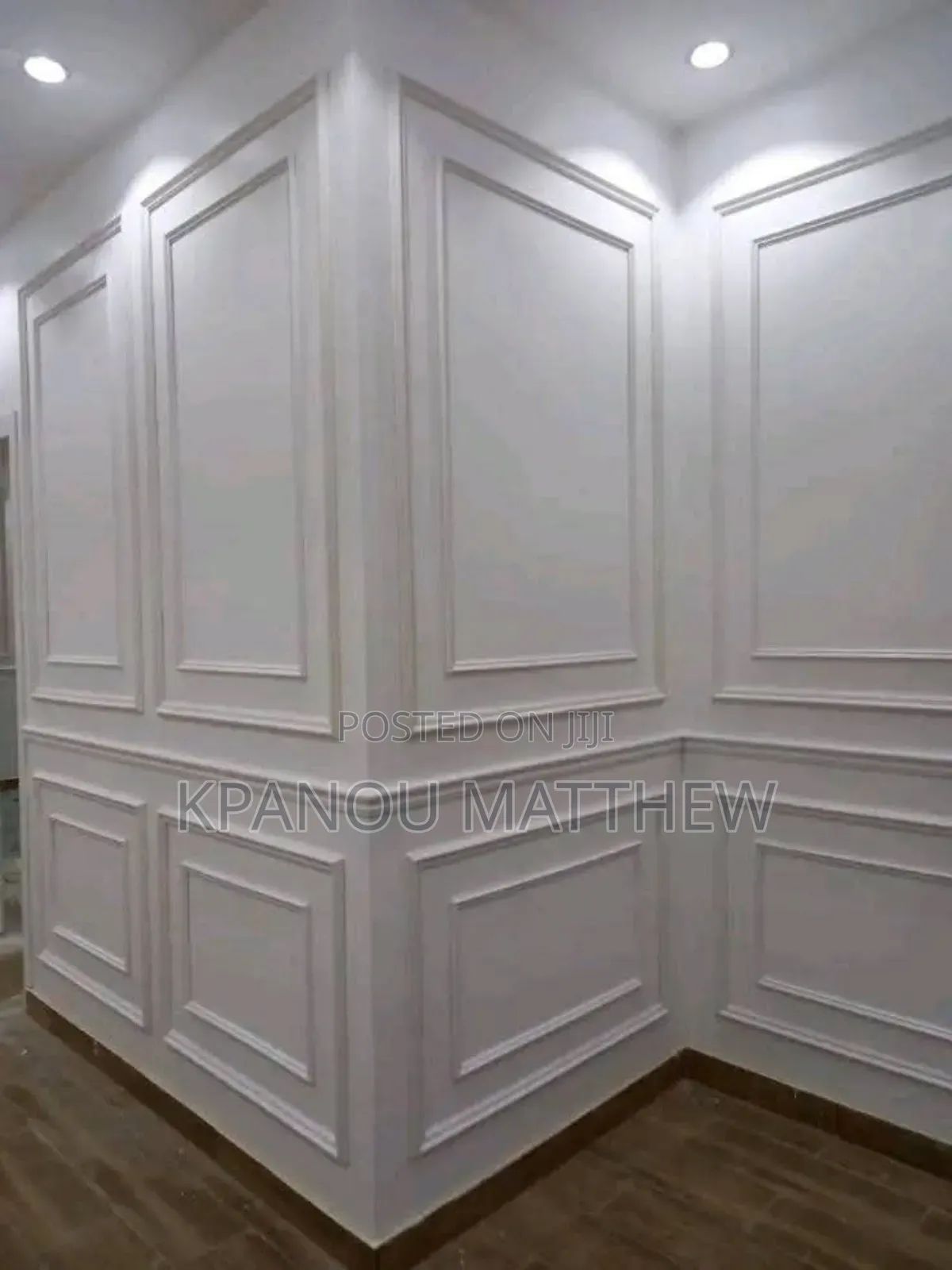 A Professional Painter.