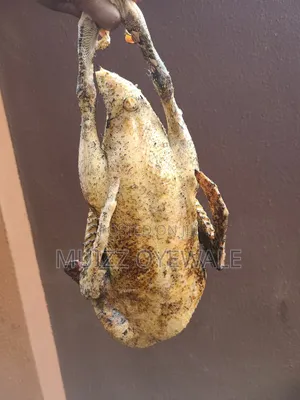 Duck Meat : For Soups, Grills, and Special Dishes