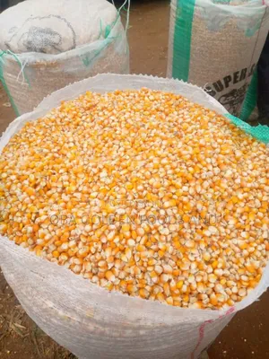 Bags of Corn