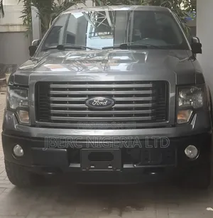 Ford F-150 2012 Gray