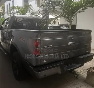 Ford F-150 2012 Gray