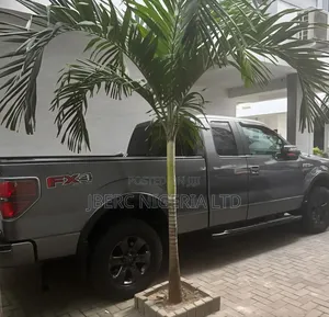 Ford F-150 2012 Gray